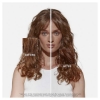 Picture of NUTRITIVE NUTRI-SUPPLEMENT SPLIT ENDS SERUM 50ml