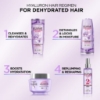 Picture of L'Oréal Paris Elvive Hyaluron Plump Spray 150ml