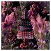 Picture of Born in Roma Uomo Intense Eau De Parfum 50ml