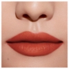 Picture of Giorgio Armani Lip Power 214