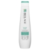 Picture of Biolage ScalpSync Cooling Mint Shampoo 400ml