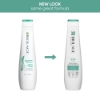 Picture of Biolage ScalpSync Cooling Mint Shampoo 400ml