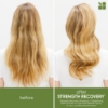 Picture of Biolage Strength Recovery Conditioner 280ml