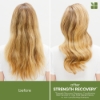 Picture of Biolage Strength Recovery Repairing Spray 232ml