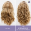 Picture of Biolage HydraSource Detangling Solution 400ml