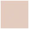 Picture of Eye Tint 12
