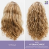 Picture of Biolage HydraSource Daily Leave-In Tonic 400ml