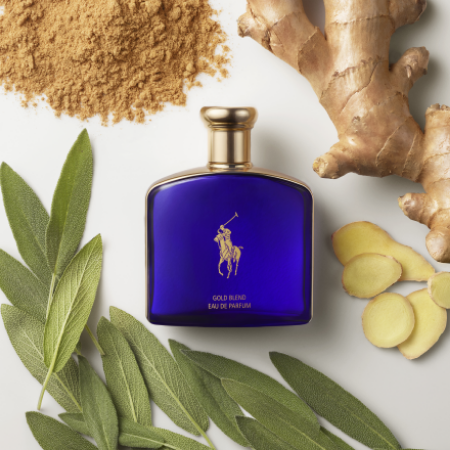 Picture for category Ralph Lauren                            