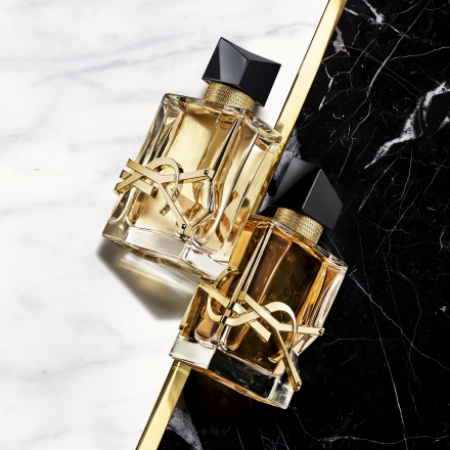 Picture for category Yves Saint Laurent                      