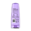 Picture of L'Oréal Paris Elvive Hyaluron Plump Conditioner 300ml