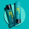 Picture of Matrix Total Results High Amplify Conditioner 300ml