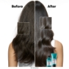 Picture of LP SERIE EXPERT SCALP ADVANCED ANTI-DISCOMFORT SHAMPOO 300ML