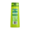 Picture of Garnier Fructis Normal Strength & Shine Shampoo 315ml for Normal Hair