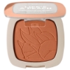 Picture of PARADISE BLUSH 01 PEACH