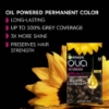 Picture of Garnier Olia 10.0 Very Light Blonde Permanent Hair Colour No Ammonia, 60% Oils
