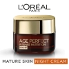 Picture of L'Oréal Paris Age Perfect Intense Nutrition Rich Repairing Night Cream