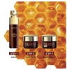 Picture of L'Oréal Paris Age Perfect Intense Nutrition Rich Repairing Night Cream