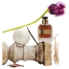 Picture of Valentino Uomo Eau de Toilette 50mL
