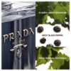 Picture of Prada L'Homme Eau de Toilette 50mL