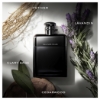Picture of Ralph Lauren Ralph's Club EDP 50ml