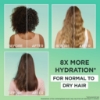 Picture of Fructis Hair Food Aloe Vera Shampoo for Normal to Dry hair 350ml