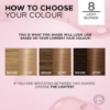 Picture of L'Oréal Paris Excellence Creme Hair Colour, 8 Blonde
