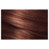 Picture of L'Oréal Paris Excellence Crème Permanent Hair Colour - 6.54 Light Copper Mahogany Brown