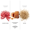 Picture of Wanted Girl EDP 80ml
