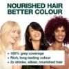 Picture of Garnier Nutrisse Permanent Hair Colour - 3.6 Crimson Promise