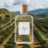 Picture of Ralph Lauren Polo Earth EDT 40ml