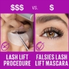 Picture of Maybelline New York The Falsies Lash Lift Volumising Mascara - Blackest Black