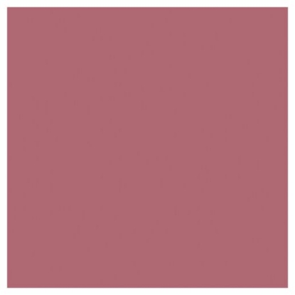 Picture of L'Oréal Paris Color Riche Satin Lipstick 453 Rose Créme