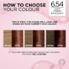 Picture of L'Oréal Paris Excellence Crème Permanent Hair Colour - 6.54 Light Copper Mahogany Brown