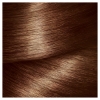 Picture of L'Oréal Paris Magic Retouch Temporary Root Concealer Spray - Brown (Instant Grey Hair Coverage)