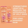 Picture of Elvive Dream Lengths Detangling Conditioner 300mL