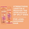 Picture of Elvive Dream Lengths Detangling Conditioner 300mL