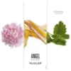 Picture of Angel EDT 30ml Refillable