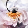 Picture of Lancôme Trésor Eau De Parfum 30ml