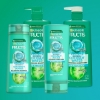 Picture of Garnier Fructis Coconut Water Shampoo 315ml for Oily Roots, Dry Ends